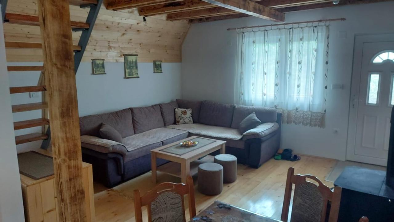 Vila Daniela Zaovine Bagian luar foto