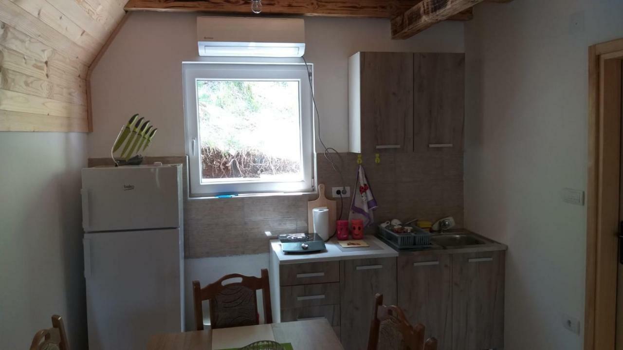 Vila Daniela Zaovine Bagian luar foto