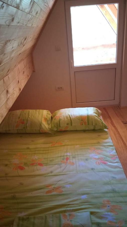 Vila Daniela Zaovine Bagian luar foto
