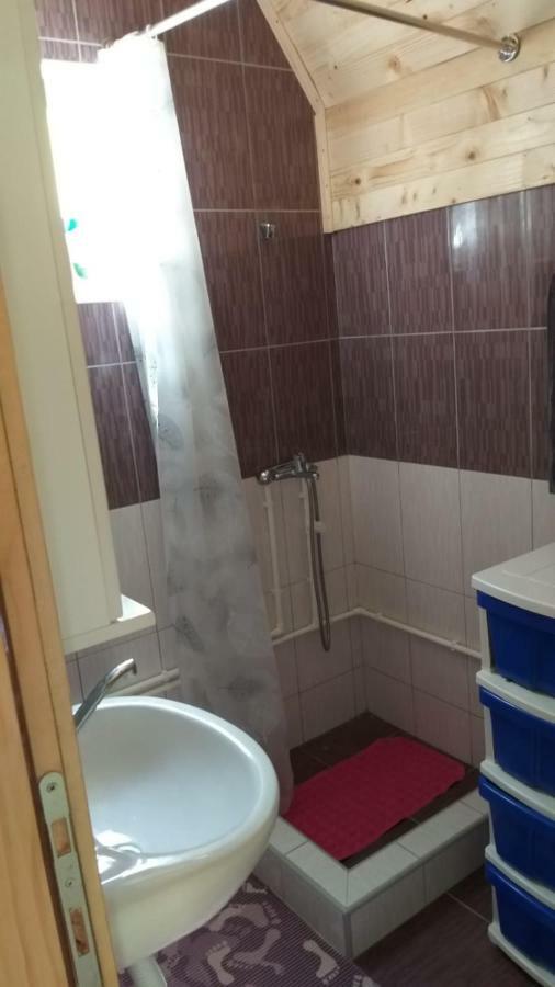 Vila Daniela Zaovine Bagian luar foto