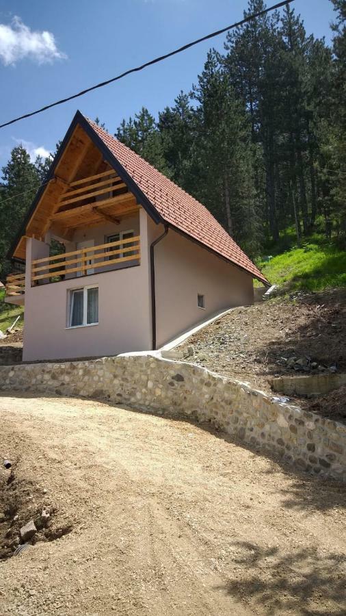 Vila Daniela Zaovine Bagian luar foto
